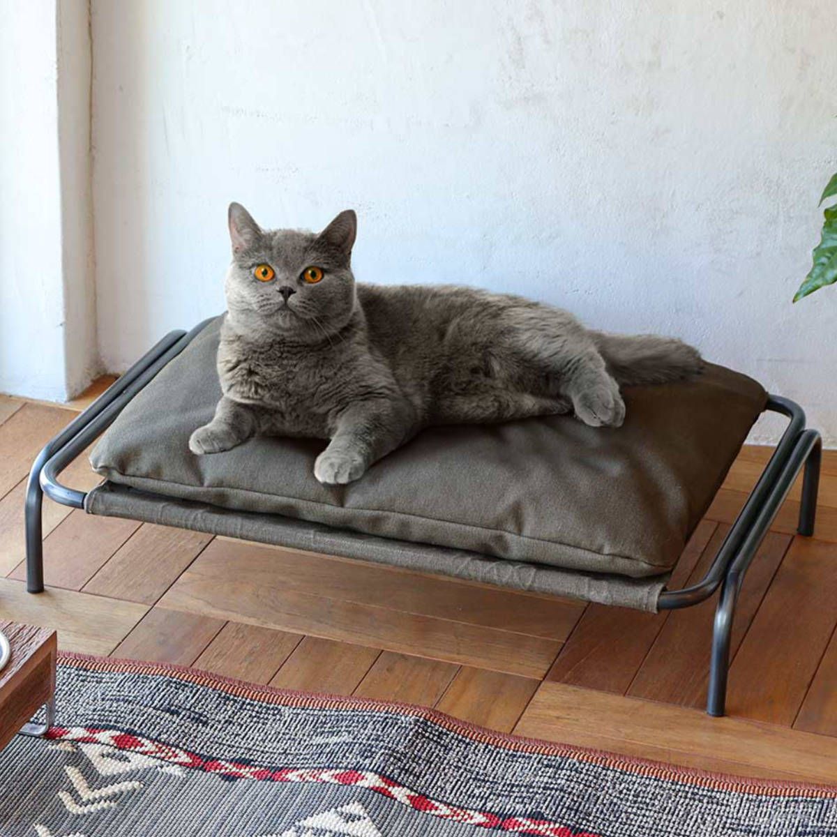 アルフレックス☆コンポーザ☆フラッティーナ☆ドレッサー