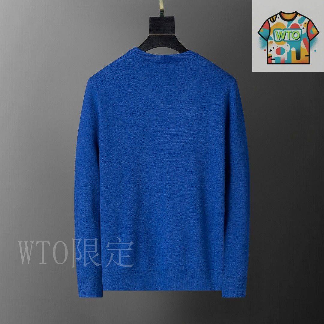 今日 Louis Vuitton Stylish 2025 クルーネックセーター