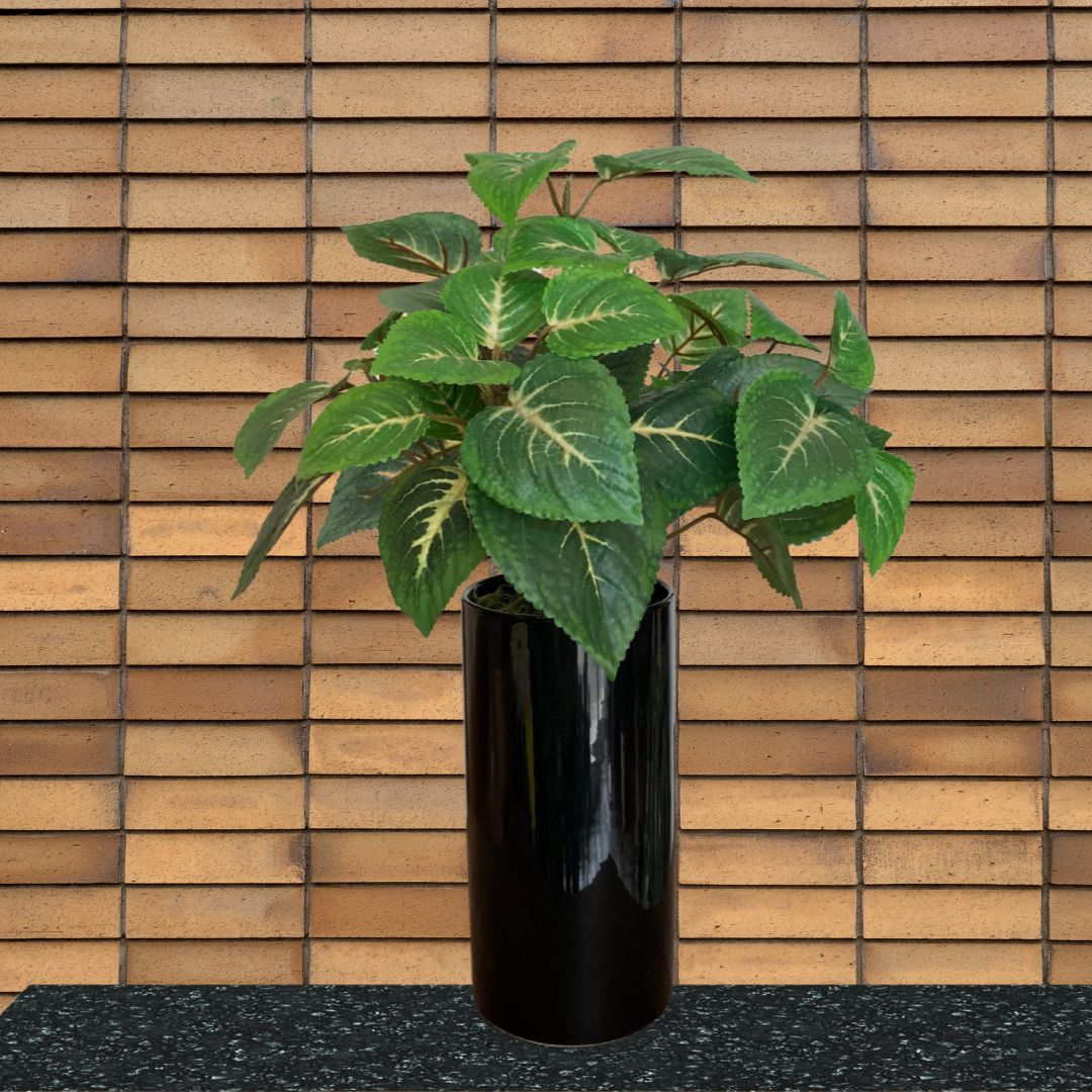 光触媒　観葉植物　ウォールグリーン　フェイクグリーン　ウオールタイプコリウス45 コリウス人工観葉植物 フェイクグリーン 光の楽園 ウオールタイプ