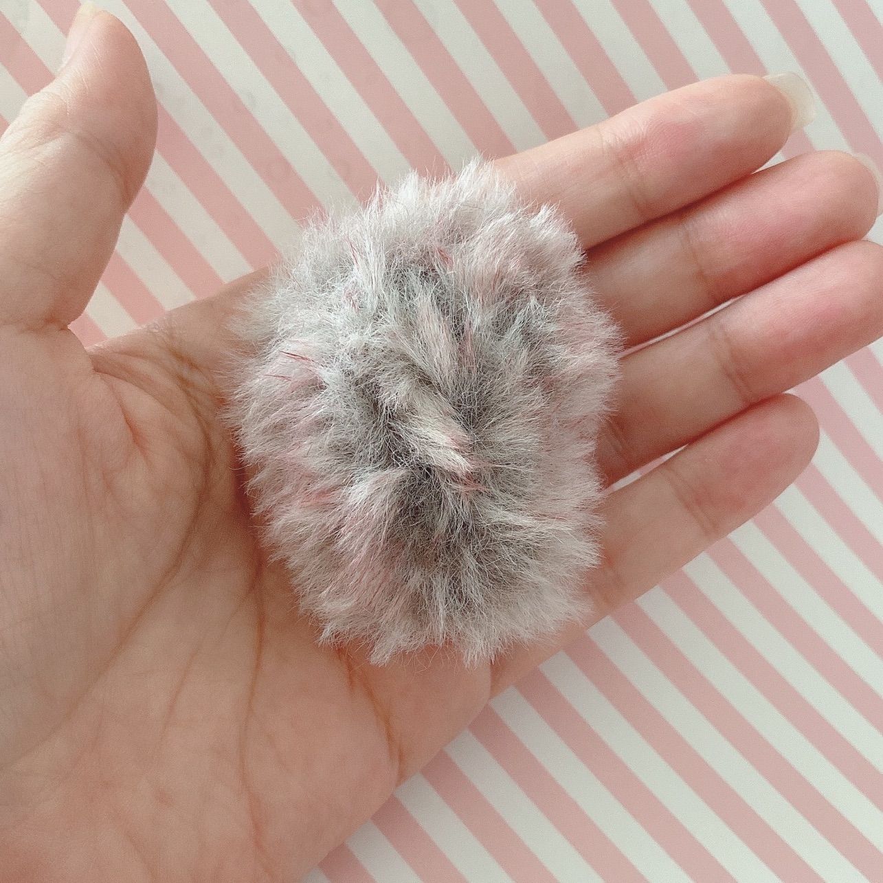 モールハリネズミちゃん モールハリネズミちゃん - メルカリ