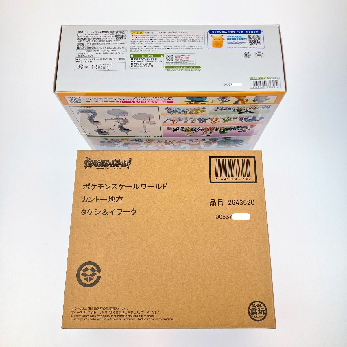 ▽▽ ポケモンスケールワールド カントー地方 タケシ＆イワーク