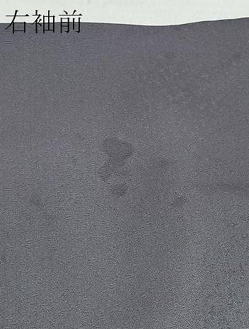 平和屋着物○京都手描友禅 中嶋剛司 蝋彩染 訪問着 草花