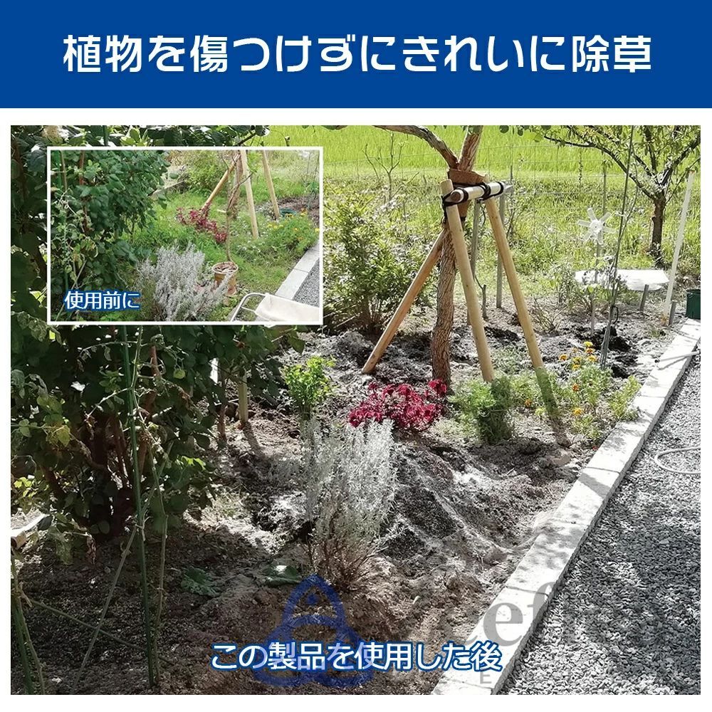 根こそぎ除草