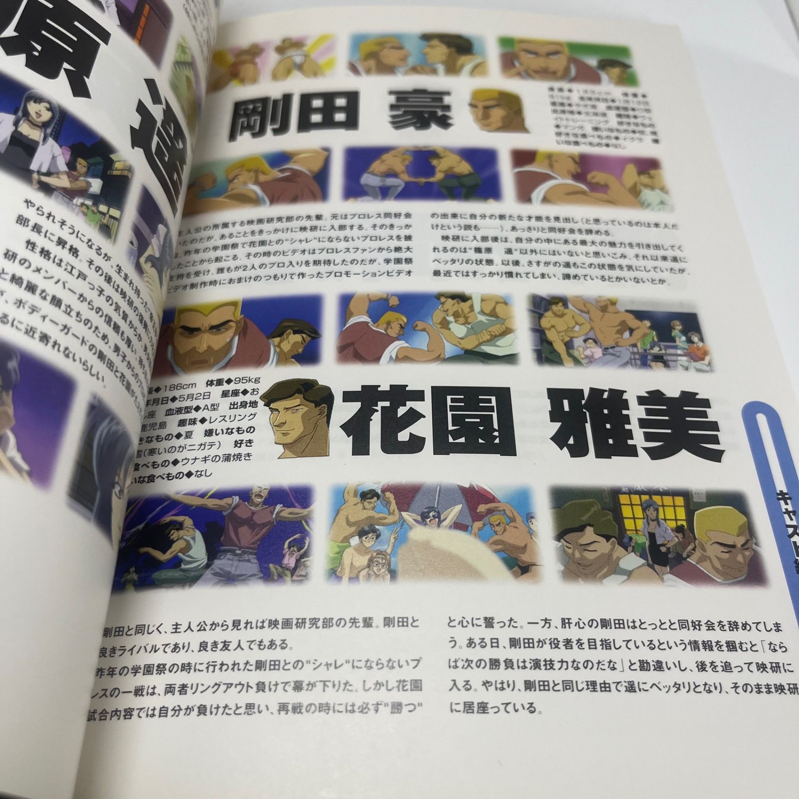 やるドラ」攻略シリーズ ダブルキャスト 公式ガイド - メルカリ