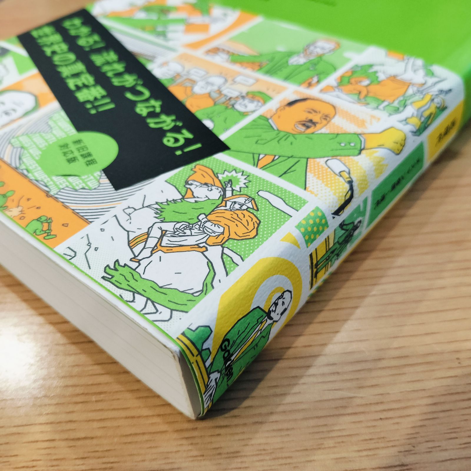 ルノーの世紀 書籍 仏ガリマール出版 非売本 ルノーの世紀 書籍 仏ガリマール出版 非売本