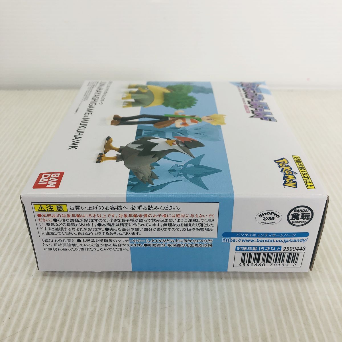 ポケモンスケールワールド シンオウ地方 ジュン＆ハヤシガメ