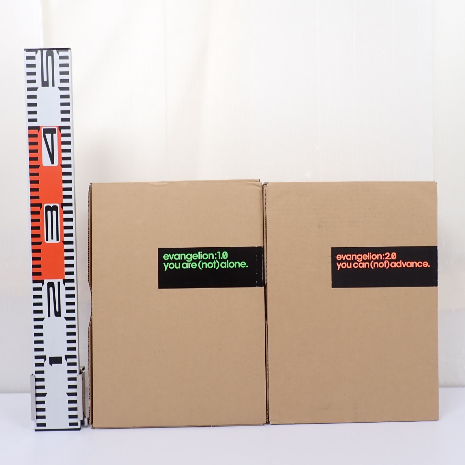 限定　エヴァンゲリオン　新劇場版：序＆破　全記録集2巻セット　フィルム付き ヱヴァンゲリヲン新劇場版：破 全記録全集 設定 資料版