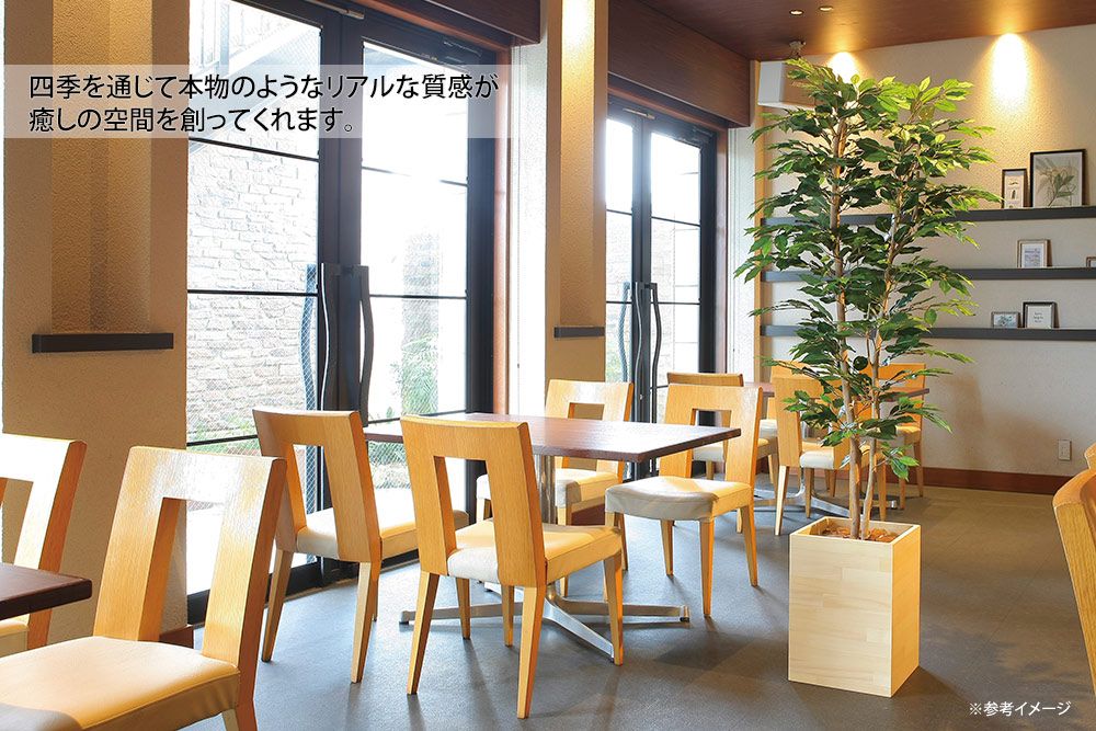 光触媒観葉植物 ウッドボックスアルテシマ2.1(組立式) 〔フロアタイプ