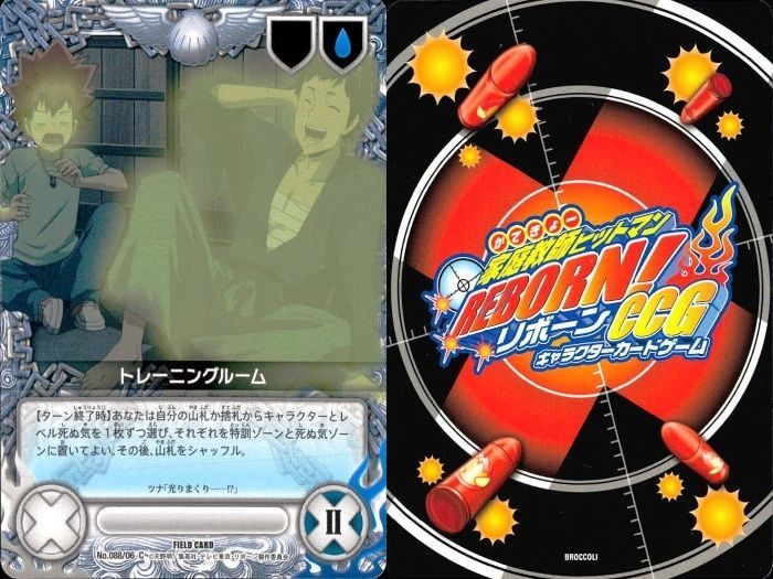 リボーン CCG まとめ U 羽29 カード トレカ まとめ 家庭教師