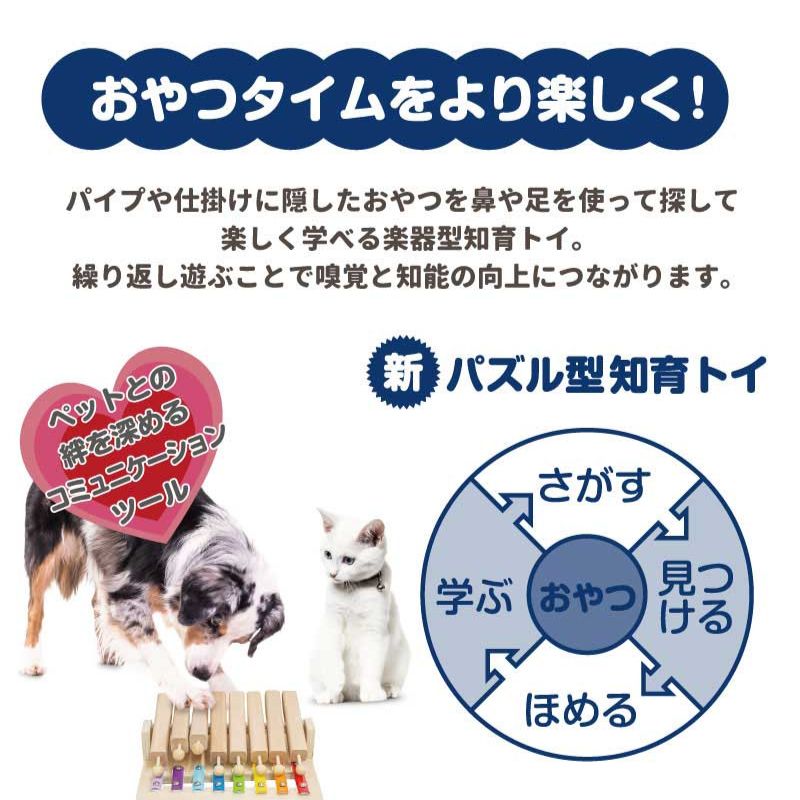 成犬 シニア犬