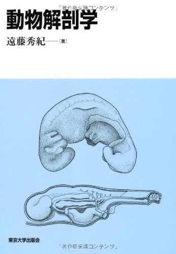 動物解剖学／遠藤 秀紀
