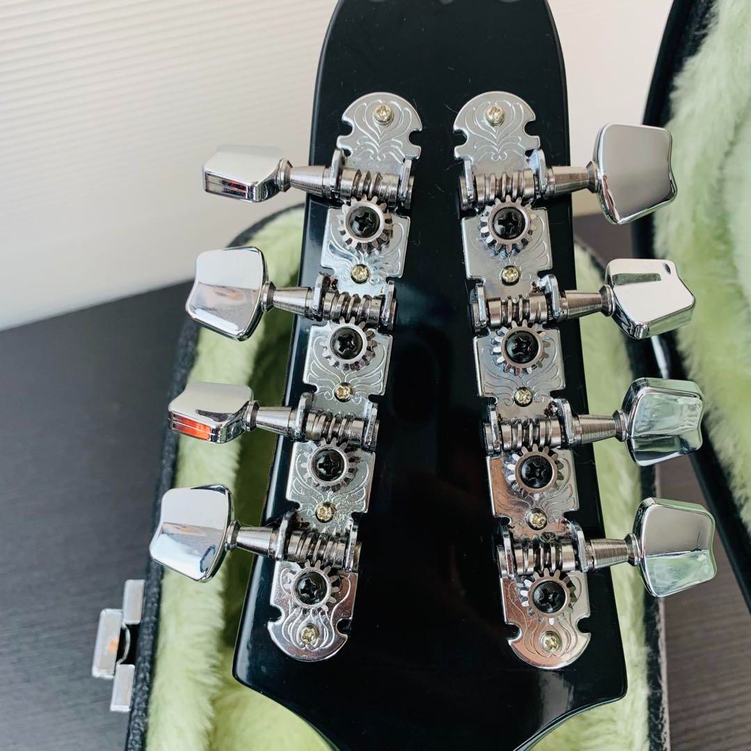 Aria フラットマンドリン Am-200 BS ハードケース付き アリア