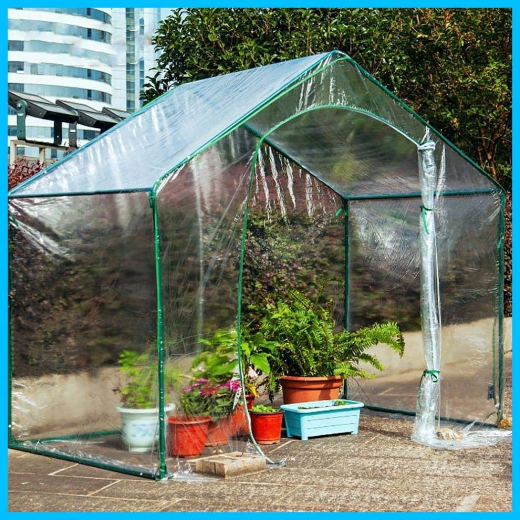 自家栽培(温室栽培) スペアミント 冷蔵便 Mint00_E-min-300x300.jpg
