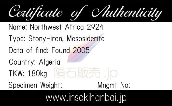 NWA2924 隕石 9.4g メソシデライト 石鉄隕石 標本 M2501 - メルカリ