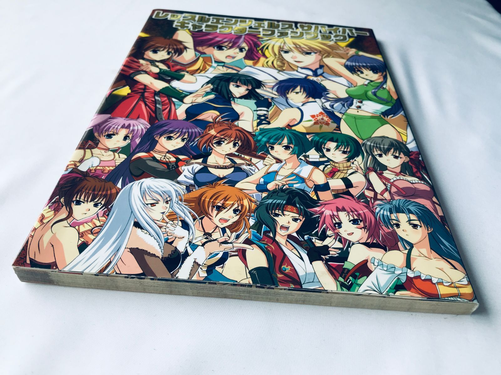 レッスルエンジェルス サバイバー キャラクターファンブック CD-ROM 未