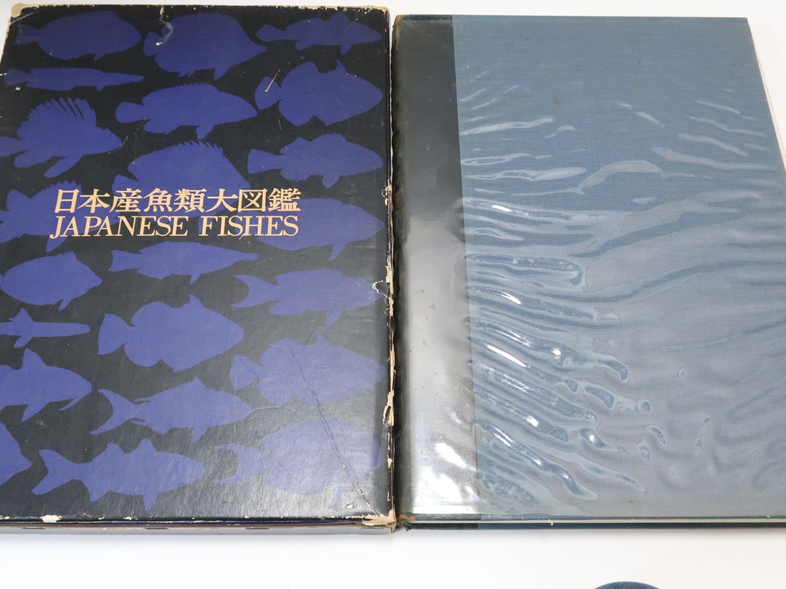 日本産魚類大図鑑/40年かかって完成した決定版/定価29000円