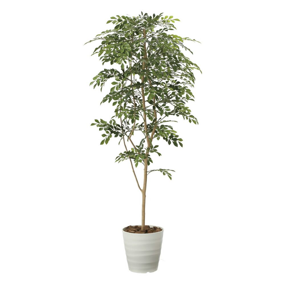 光触媒観葉植物 トネリコ1.8 〔フロアタイプ〕 インテリア フェイクグリーン おしゃれ アートグリーン 緑 リビング 鉢植え プレゼント ギフト 玄関 キッチン 部屋に飾る 御祝 店舗 オフィス 