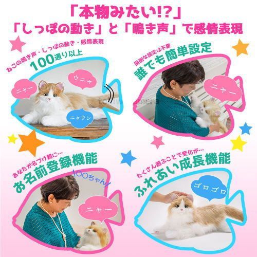 ほぼ 状態A