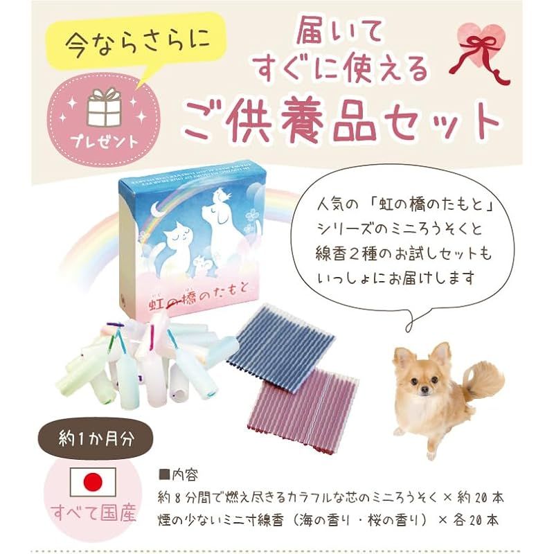 ペットロス