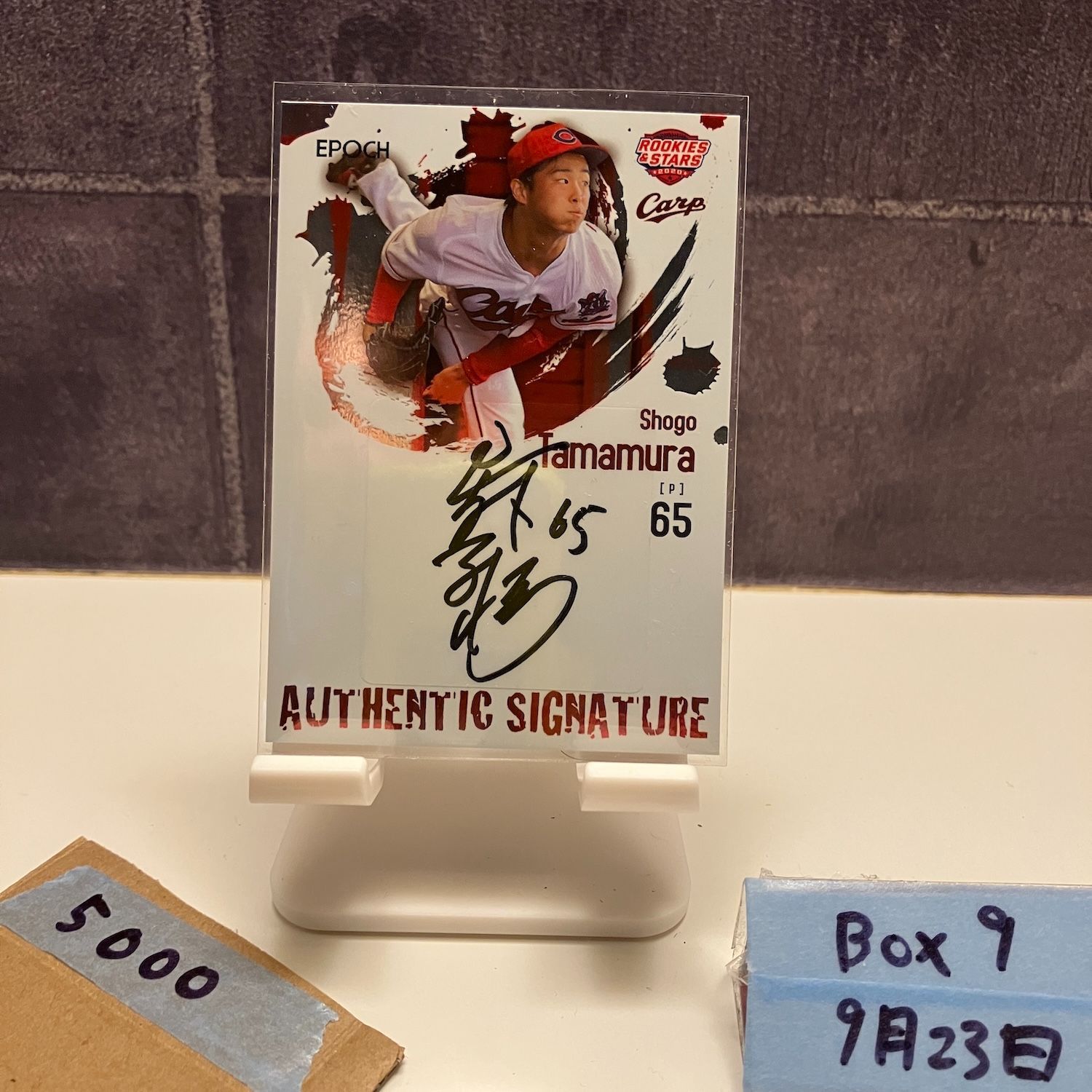 新品】阪神タイガース×ヒステリックミニ RV スタイ ヒステリックミニ