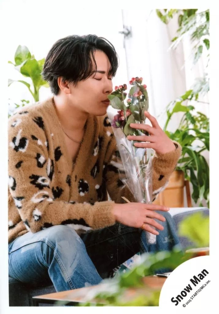 中古】生写真(STARTO) Snow Man/宮舘涼太/膝上/アルバム「THE BEST