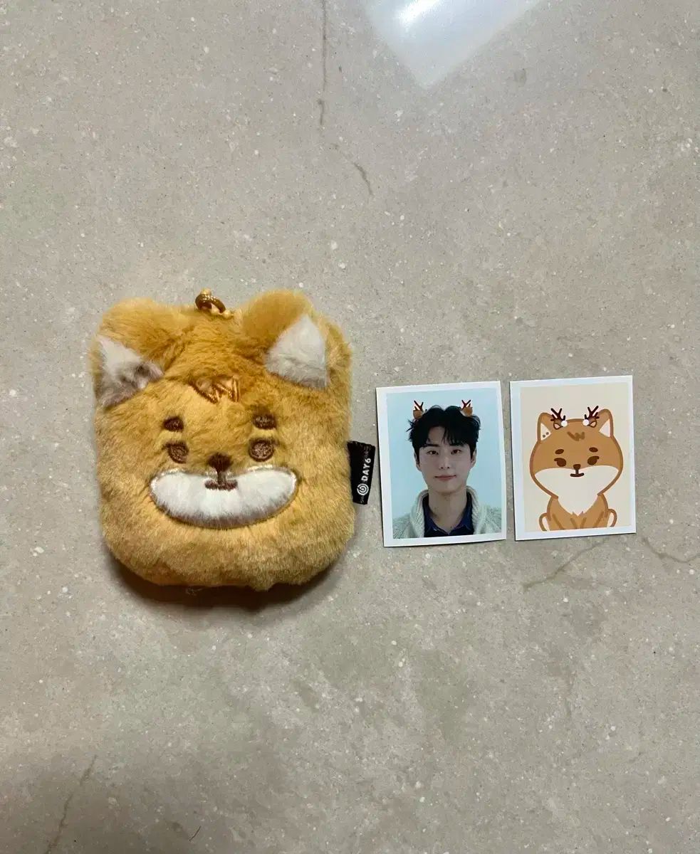 DAY6（デイシックス）ドウン(DOWOON) 쁘띠멀즈