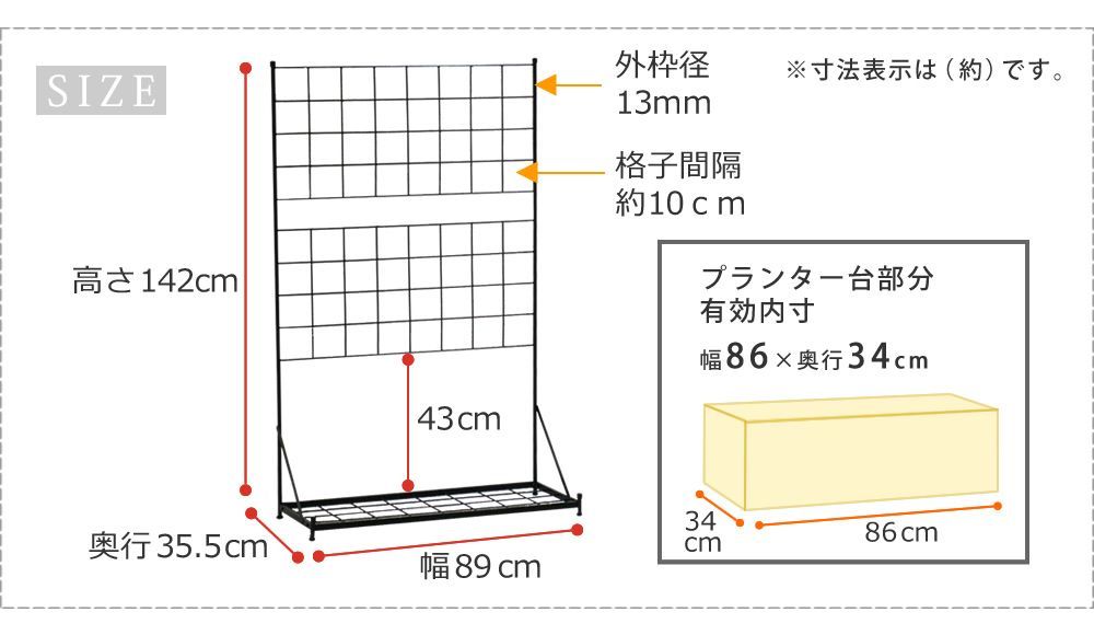 薔薇 バラ