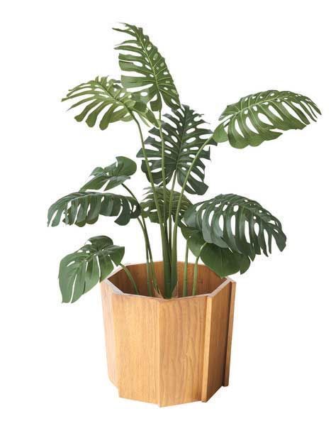 ミンディ のウッドプランターカバーＳ