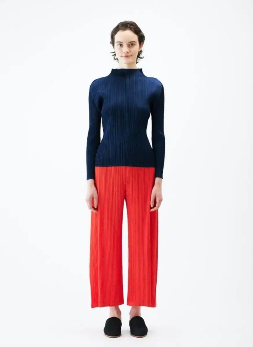 プリーツプリーズ マンスリー 2月 モックネックトップス