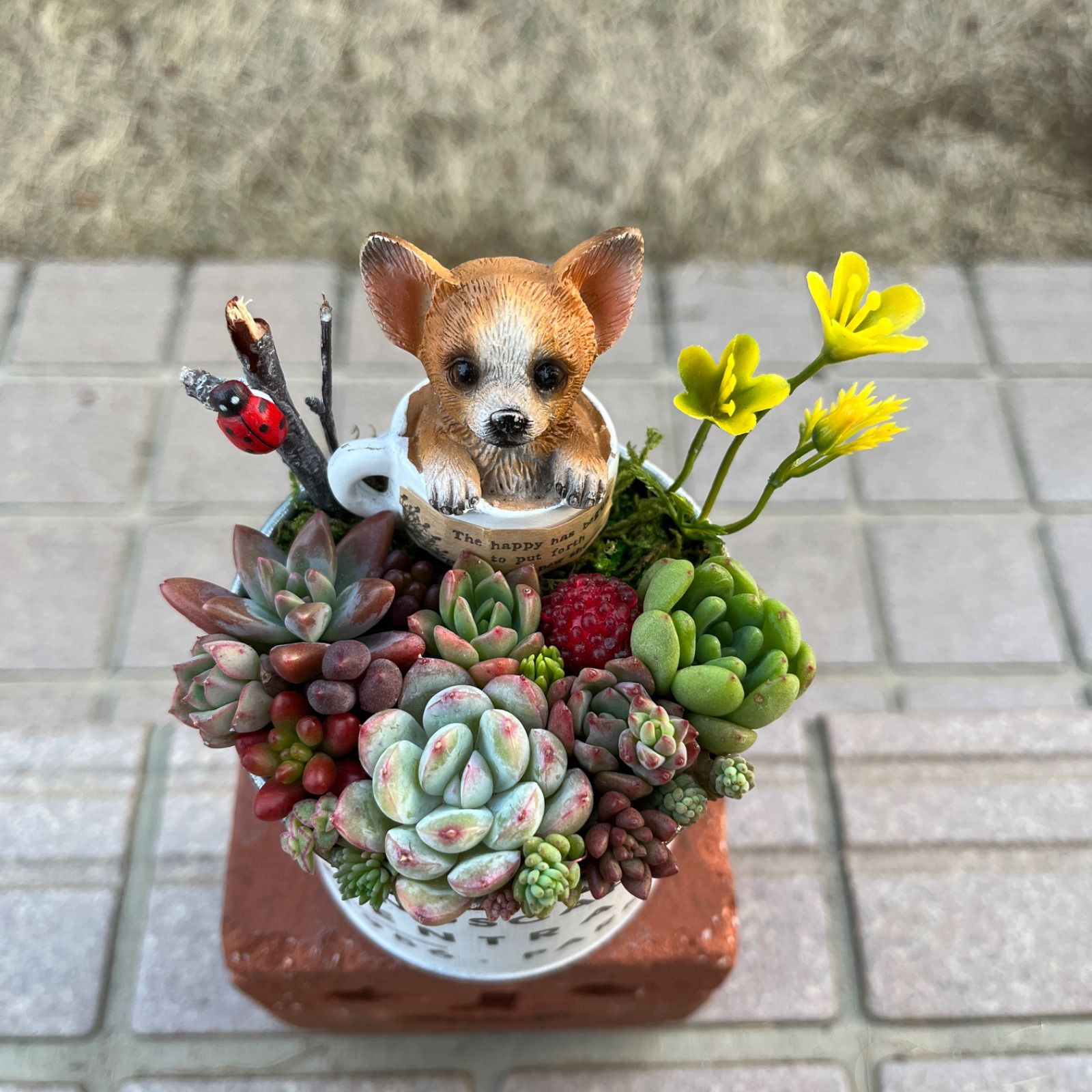 ♡そのまま飾れる♡ブリキ缶♬ワンちゃんの可愛い多肉植物寄せ植え