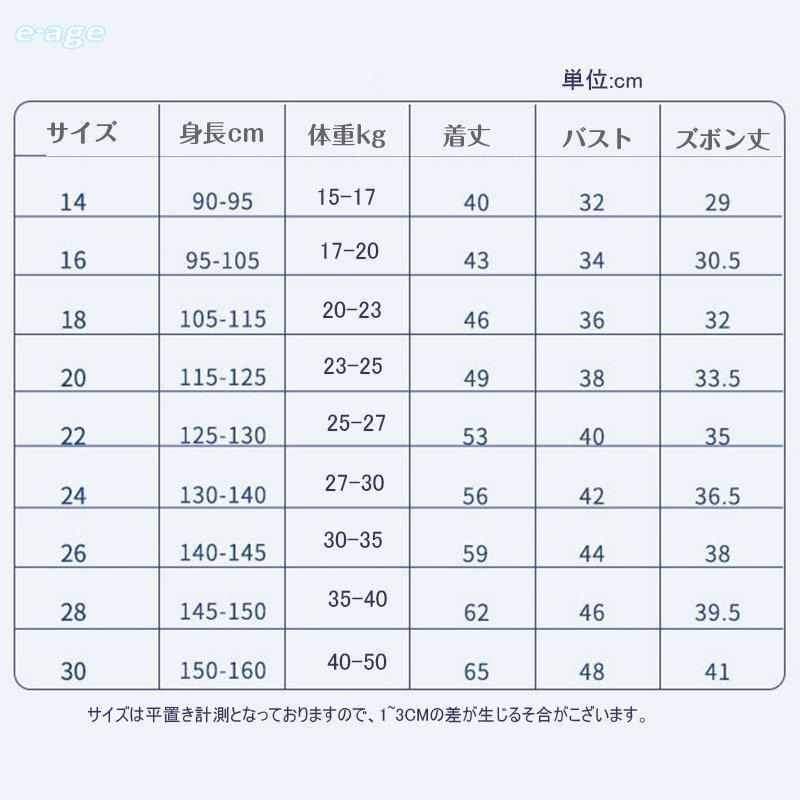 サッカーウェア 上下セット セットアップ スポーツユニフォーム