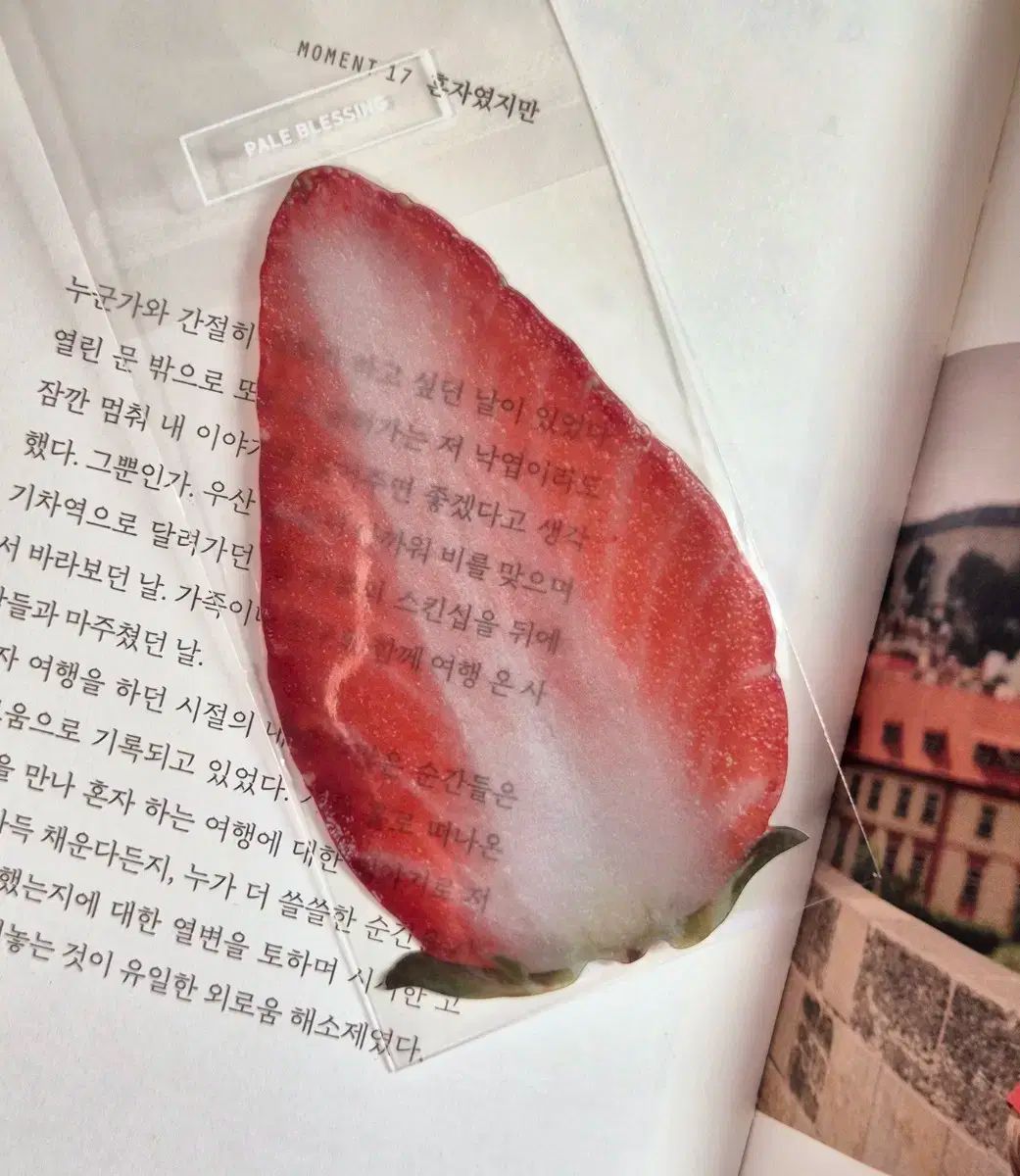 古民家整理品 江戸時代肉筆掛け軸そ中国美术品 激安骨董品 X1103C16-