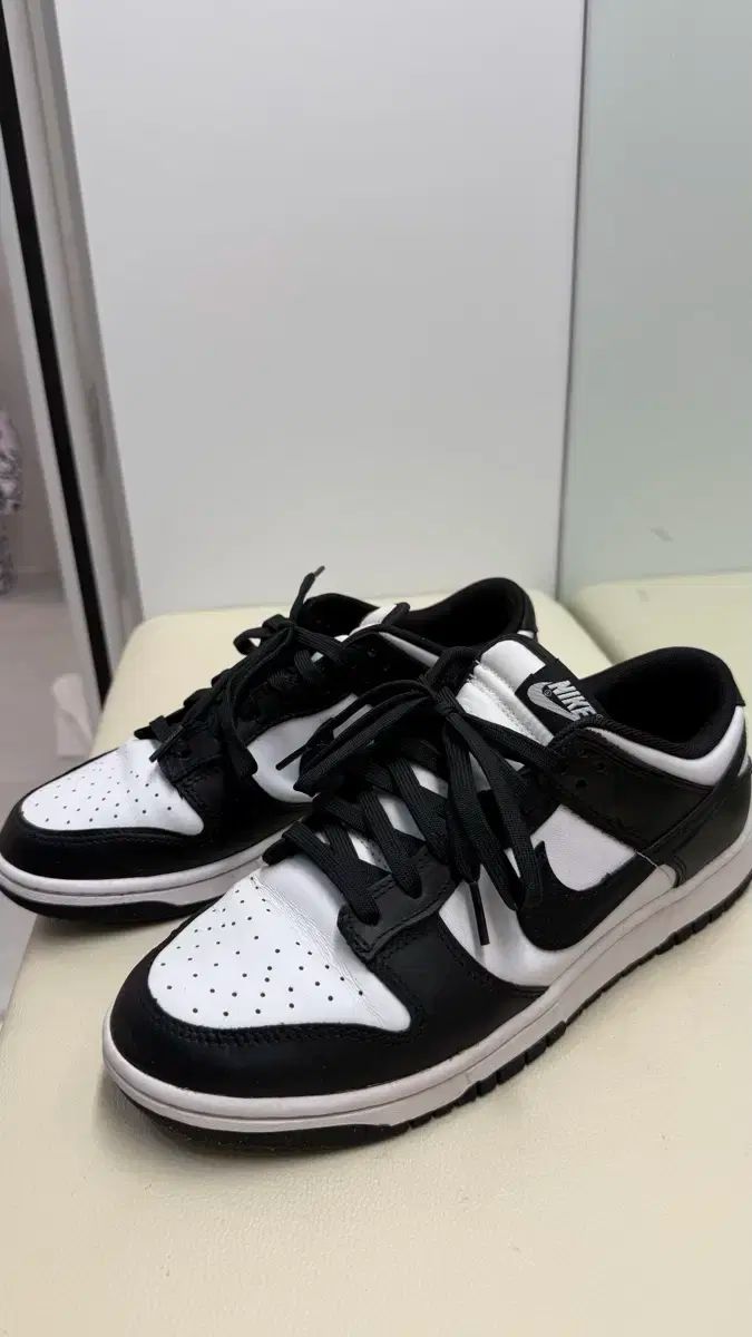 NIKE ナイキ ダンク ロー 270