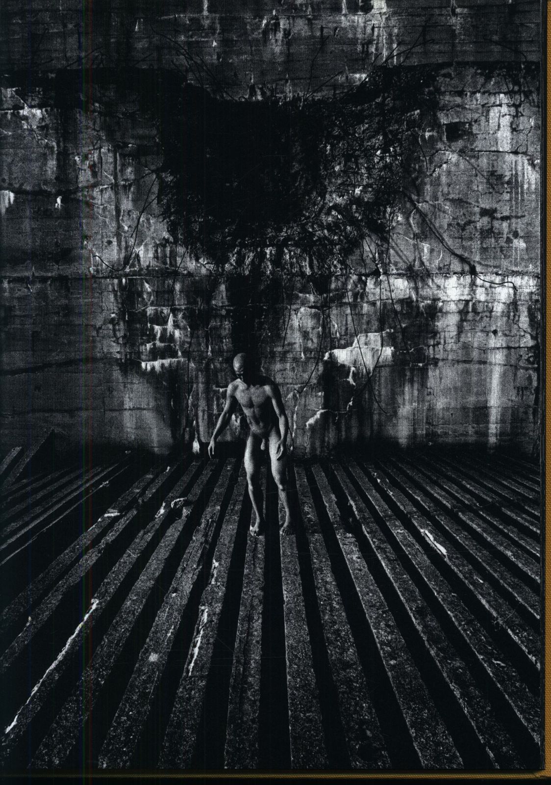 田中泯/田原桂一 Photosynthesis 1978-1980 光合成 - メルカリ