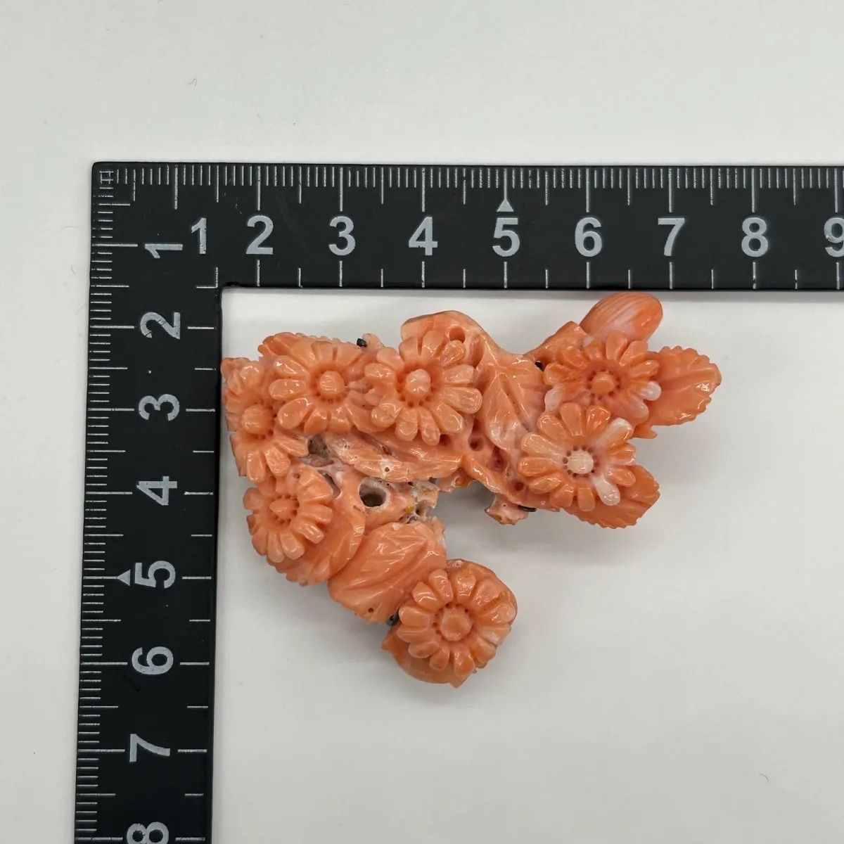 最終価格 天然珊瑚 本珊瑚 帯留め ルース 珊瑚彫刻 宝石珊瑚 鳳凰 桜
