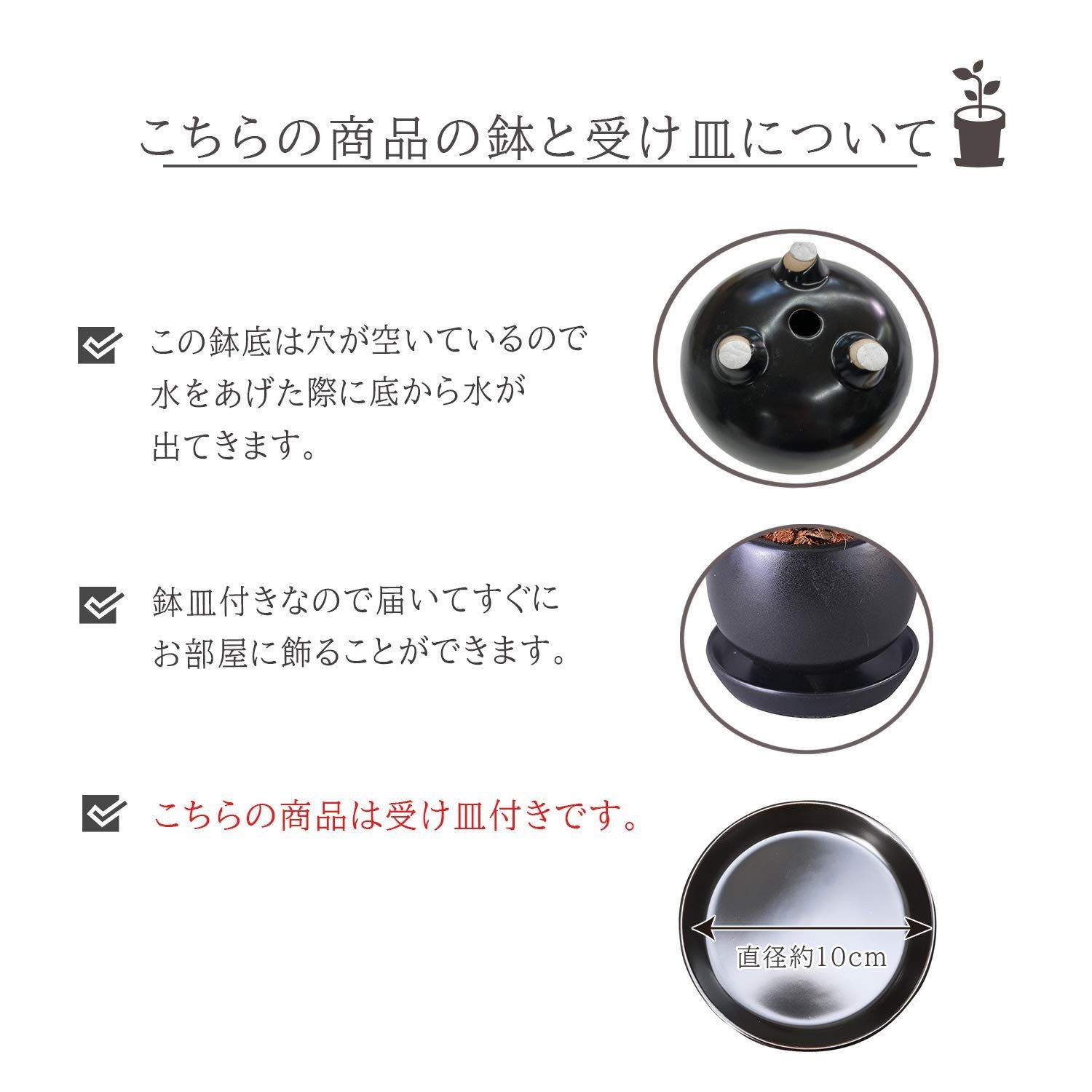 本物