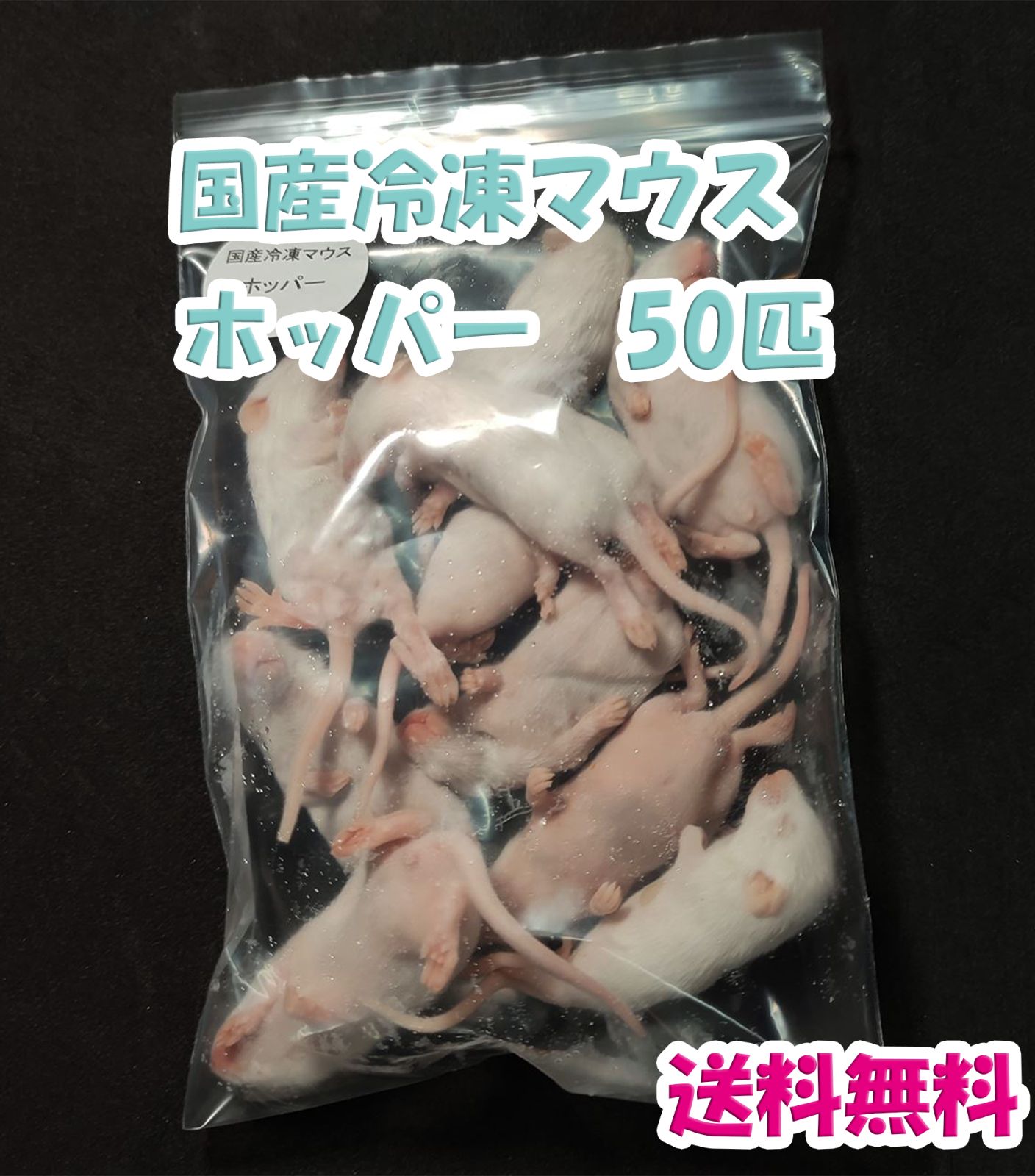 ホッパー15g～16g50匹国産冷凍マウス ホッパー 50匹 - 温室・飼育ケース