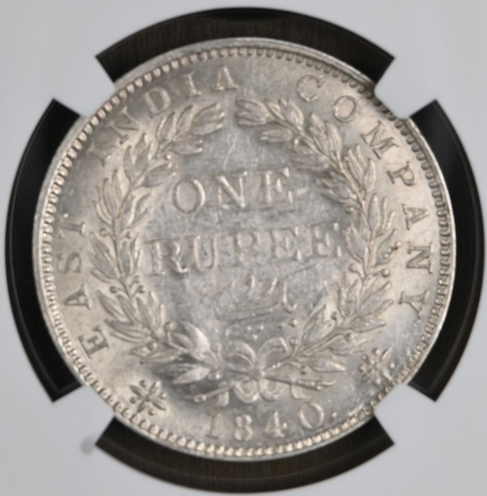 カルカッタミント NGC