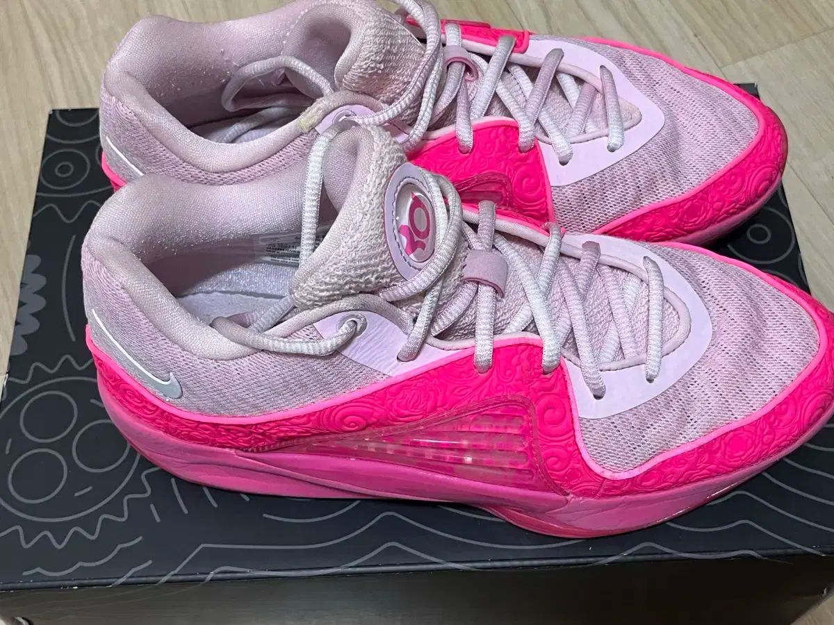 kd16 アントパール