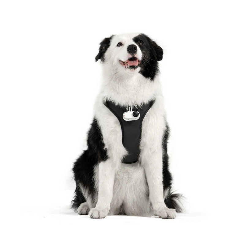 INSTA360 ペット用ハーネスマウント Lサイズ X5 AcePro2 X4 GO3S AcePro Ace GO3 X3 ONE RS ツイン 4K CINSBAVZ ANARI_COM_TR