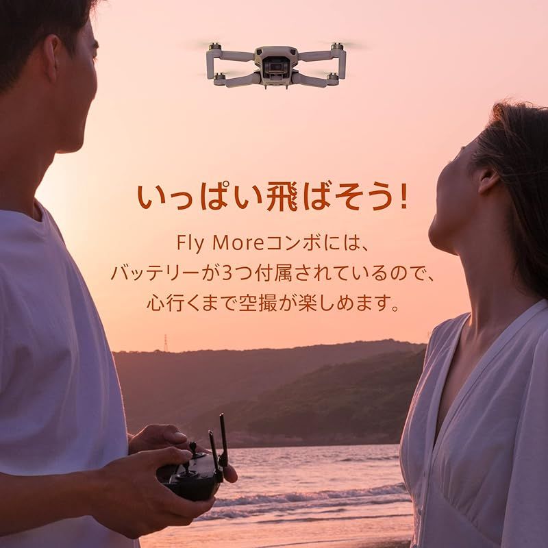 Mini リモートID対応外の製品です