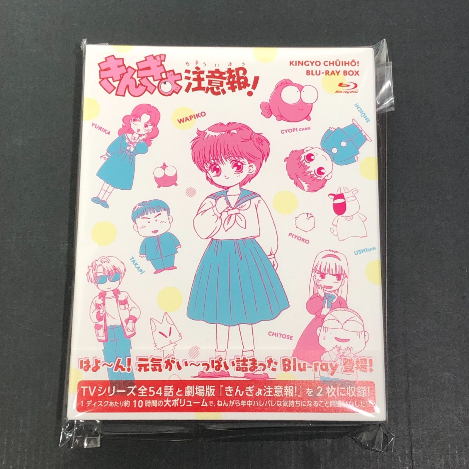 城東17-031 きんぎょ注意報 Blu-ray BOX 帯付き