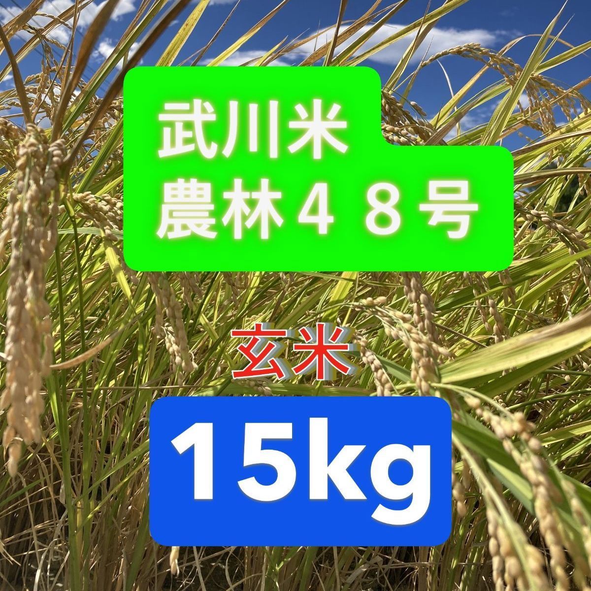 令和6年度産【武川米】農林48号 30kg（玄米）山梨県北杜市産　お米30キロ Amazon.co.jp: 【山梨県産 武川米】 令和6年度 農林48号 新米