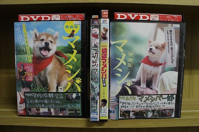 マメシバ一郎 フーテンの芝二郎 DVD-BOX | www.carmenundmelanie.at