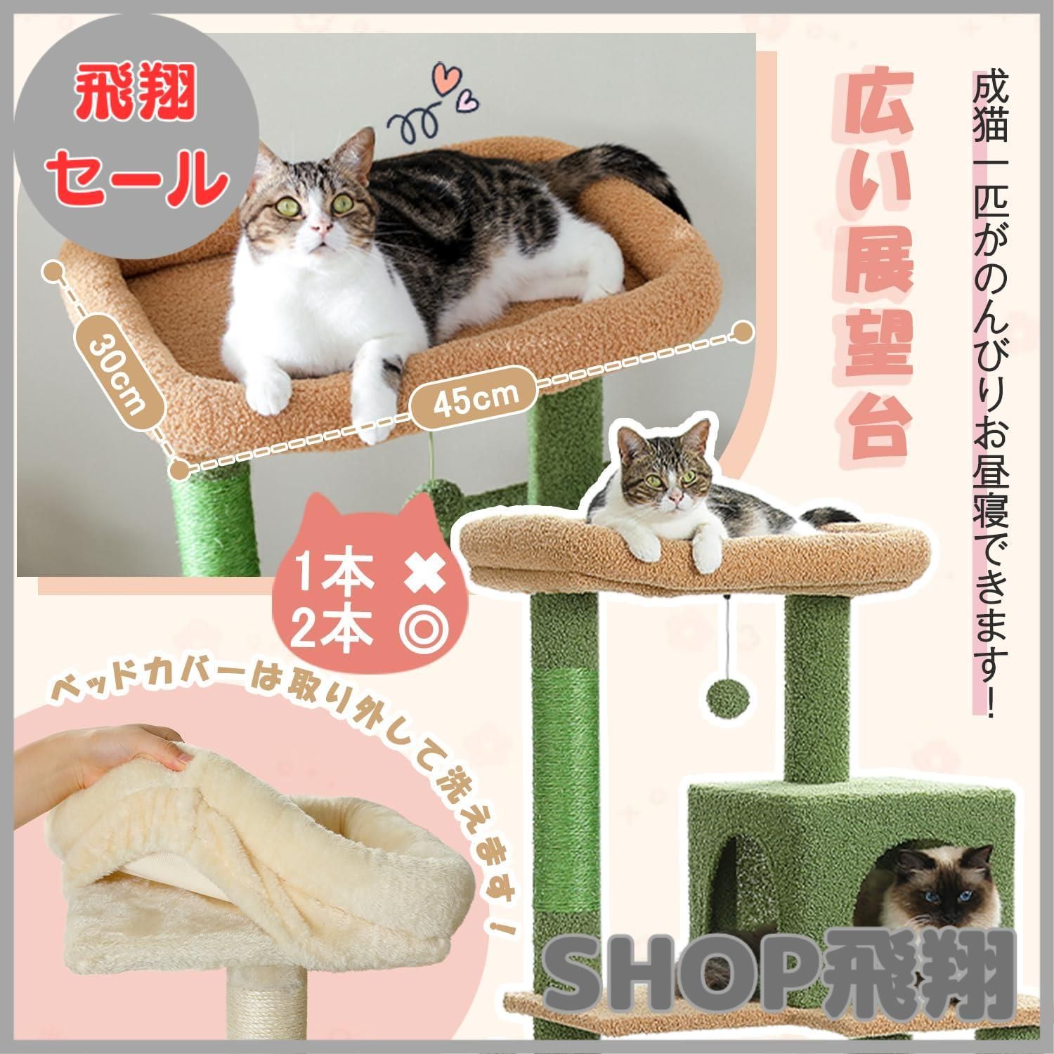 運動不足解消 多頭飼い