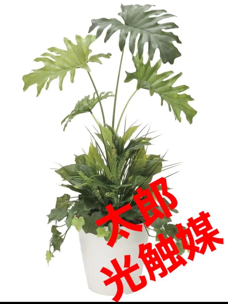 光触媒　人工観葉植物　ウォールグリーン　フェイクグリーン　スプリット90植栽付 光触媒 人工観葉植物 ウォールグリーン フェイクグリーン スプリット90