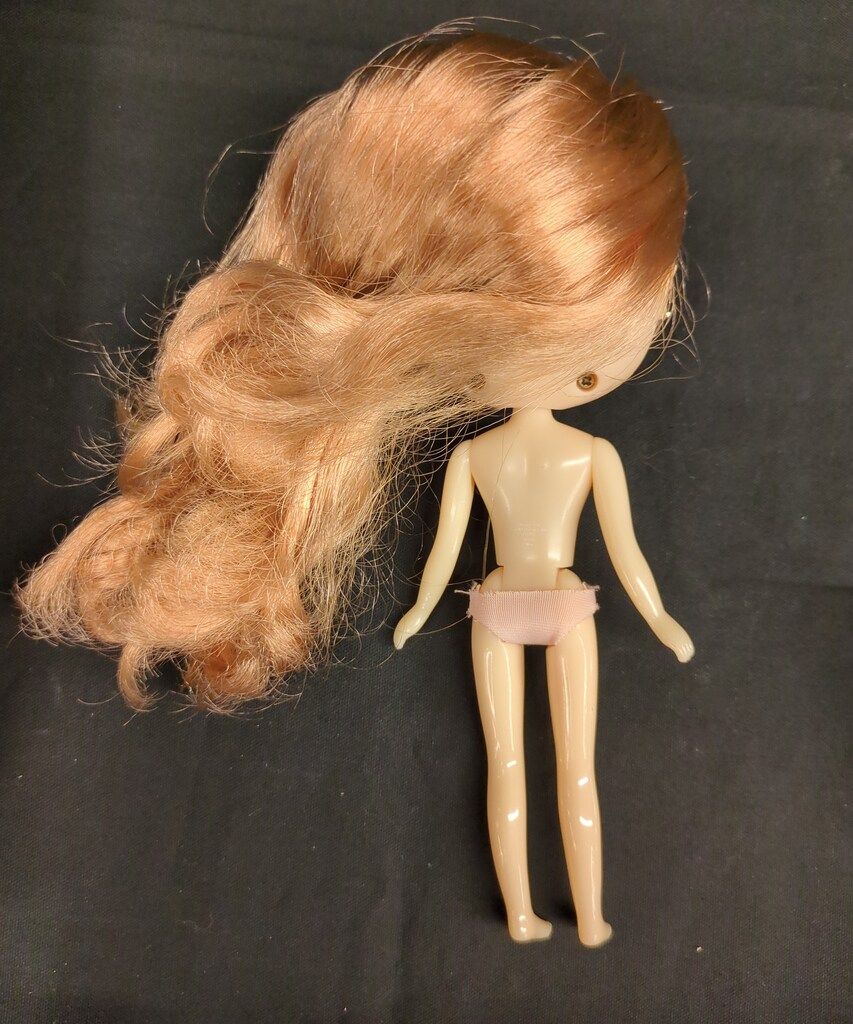 ミディブライス　バブリー ブリス　カスタム用 ミディブライス ブライス バブリーブリス カスタム - 良盤ディスク