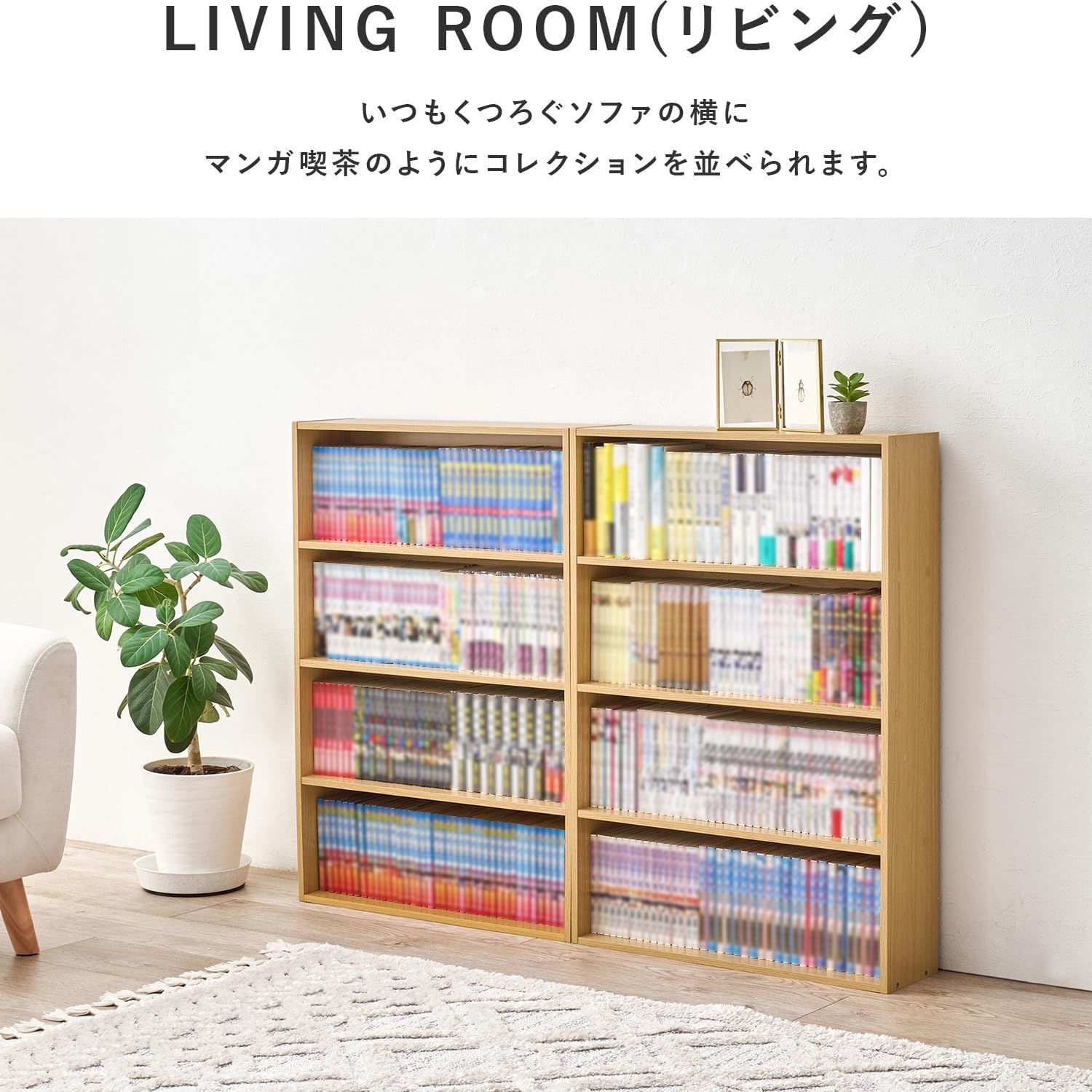 日本化石集 築地書店　アンモナイト　歴史　地質　地理　植物　生物　全58巻　希少 日本化石集 築地書店 アンモナイト 歴史 地質 地理 植物 生物 全58巻