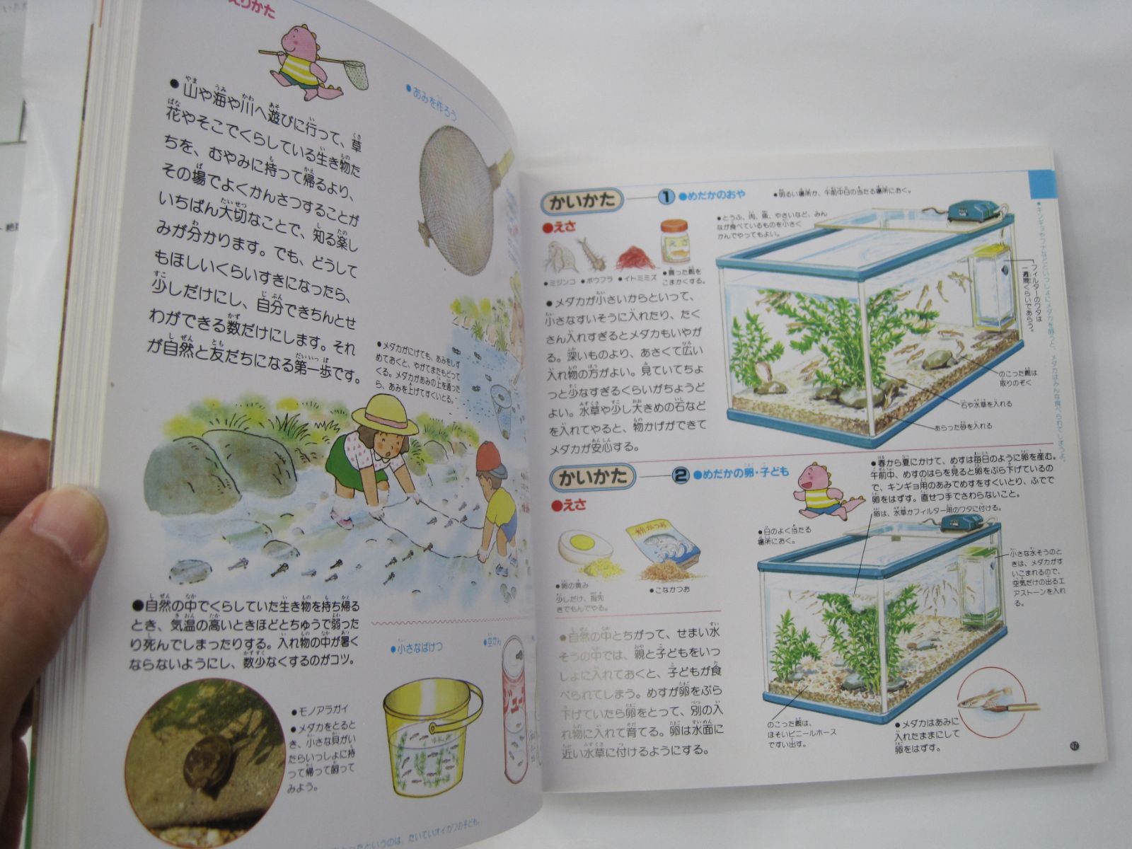 ちいさないきもの 無くせ くらしとかいかた
