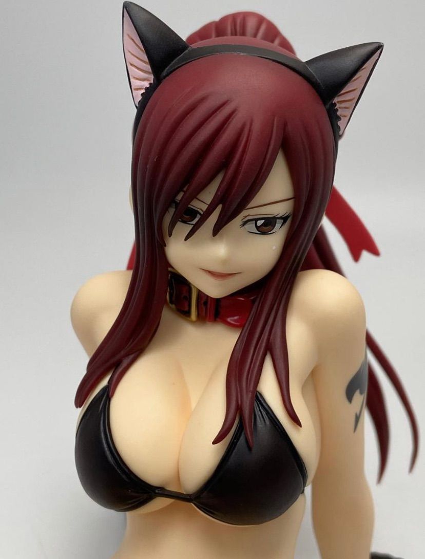 フェアリーテイル エルザ・スカーレット・黒猫 Gravure_Style 1/6